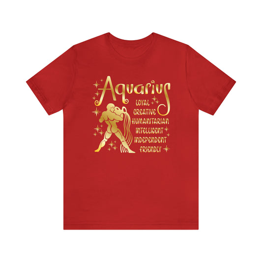 Aquarius Premium Unisex T Shirt | Star Sign Horoscope Tshirt | Astrology Plus Size Tee | Zodiac Sign Birth Sign Top | Non Binary Clothing