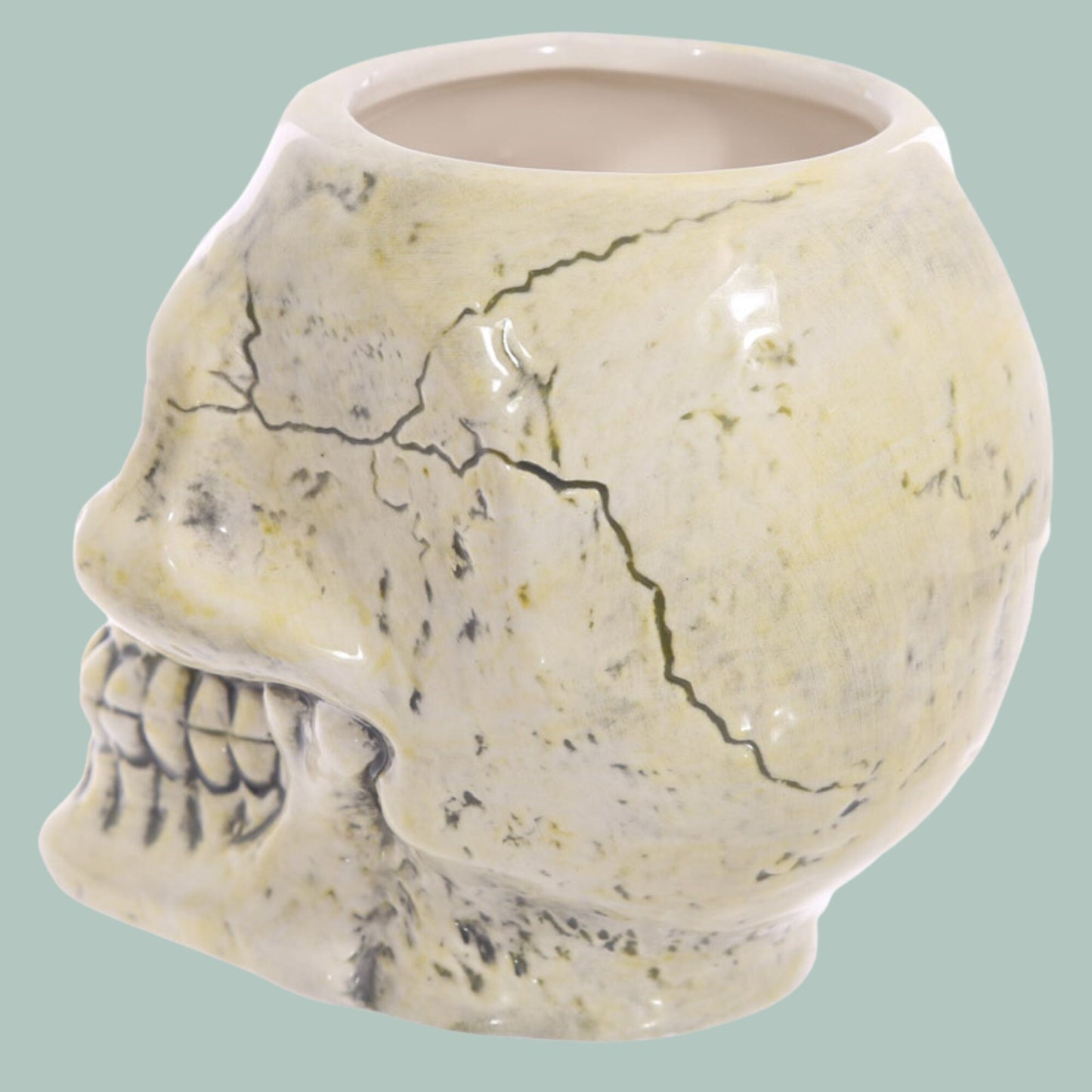 Novelty Ancient Skull Shaped Ceramic Mug